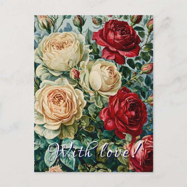 Postal El esplendor rosado. Un ramo de rosas florido. (Anverso)