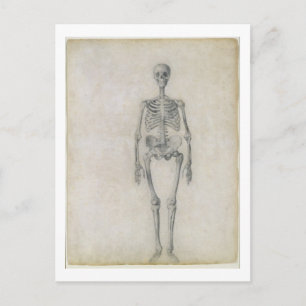 Postal El esqueleto humano, vista anterior, de la serie