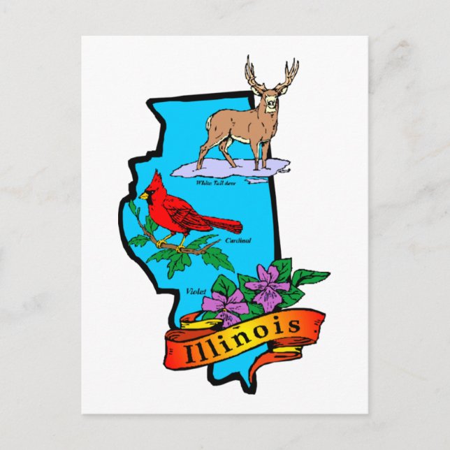 Postal El estado de Illinios Gifts and Tees (Anverso)