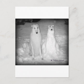 Postal ¡El famoso Mychtar del mundo y su perro de nieve!