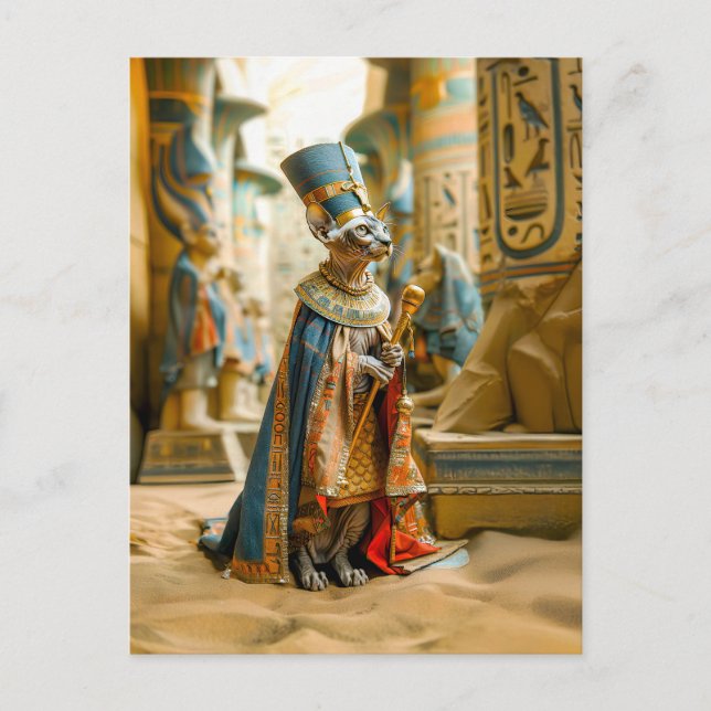 Postal El faraón del gato sin pelo con corona (Anverso)