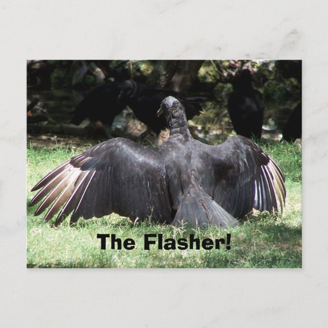Postal ¡El Flasher! (Anverso)