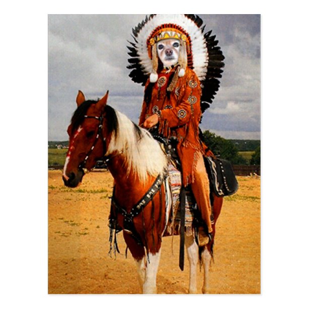 Postales Indios Americanos - Tarjetas postales | Zazzle.es