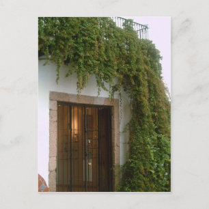 Postal El frente de un edificio en Taxco con una vid