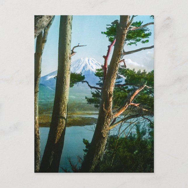 Postal El Fuji a través de la cosecha matutina del Japón (Anverso)