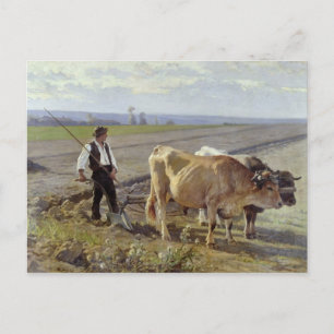 Postal El Furrow, 1897