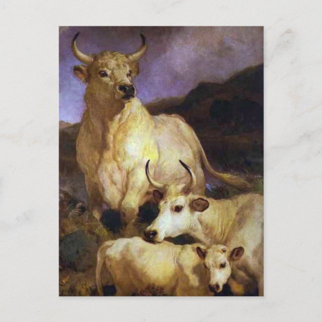 Postal El ganado salvaje de Chillingham por Edwin Henry L (Anverso)