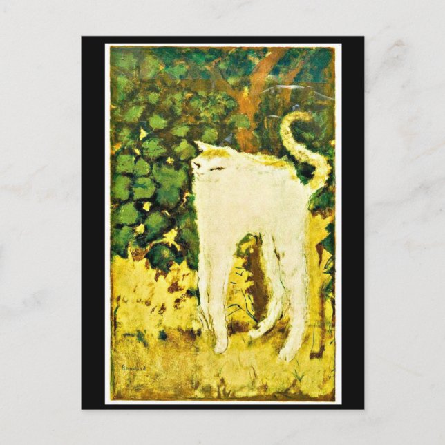 Postal El gatito blanco (Anverso)