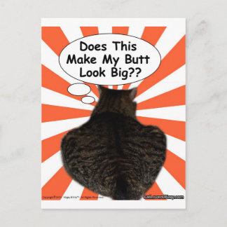 Postal ¿El gatito del hippy hace esto hace mi mirada del