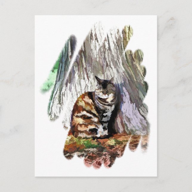 POSTAL EL GATO (Anverso)