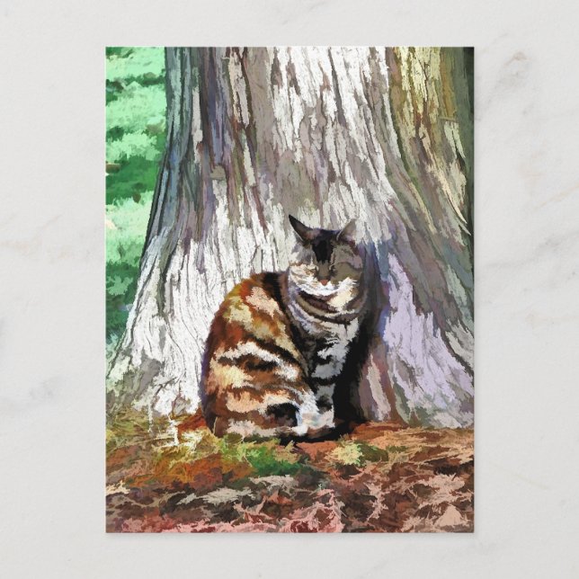 POSTAL EL GATO (Anverso)