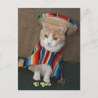 Postal EL Gato Bubba