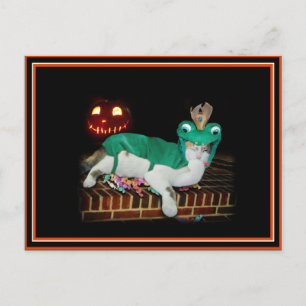 Postal ¡El gato de Halloween está consiguiendo las cosas!