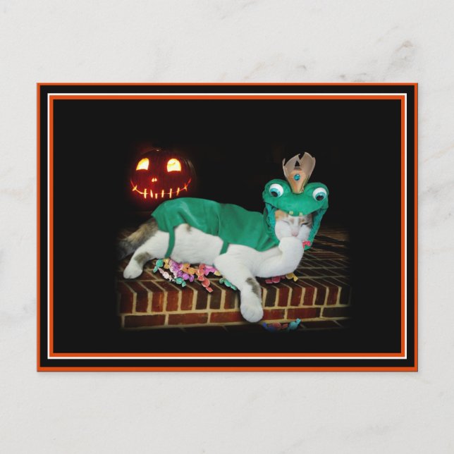 Postal ¡El gato de Halloween está consiguiendo las cosas! (Anverso)