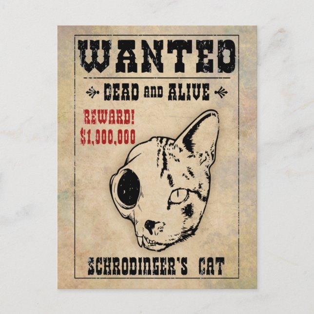 Postal El gato de Schrodinger buscado II (Anverso)