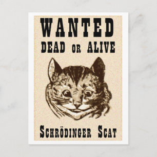 Postal El gato de Shrodinger quería al poster