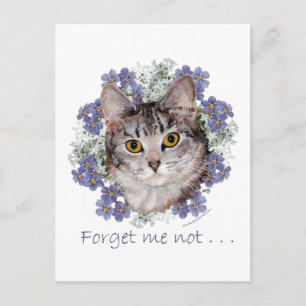 Postal El gato de tabla no me olvida