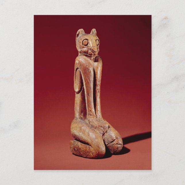 Postal El gato del Marco Key, de Florida (Anverso)