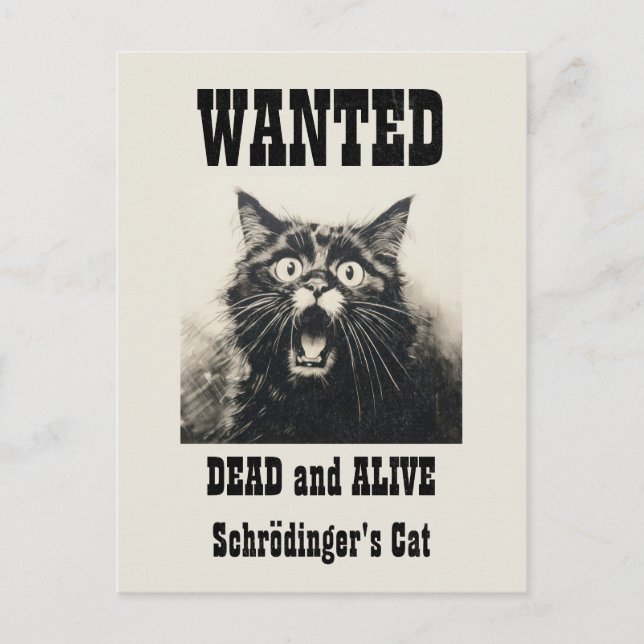 Postal El gato del Poster Schrödinger es divertido (Anverso)