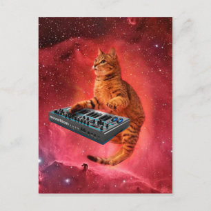 Postal El gato del Sinthesizer en el espacio rojo