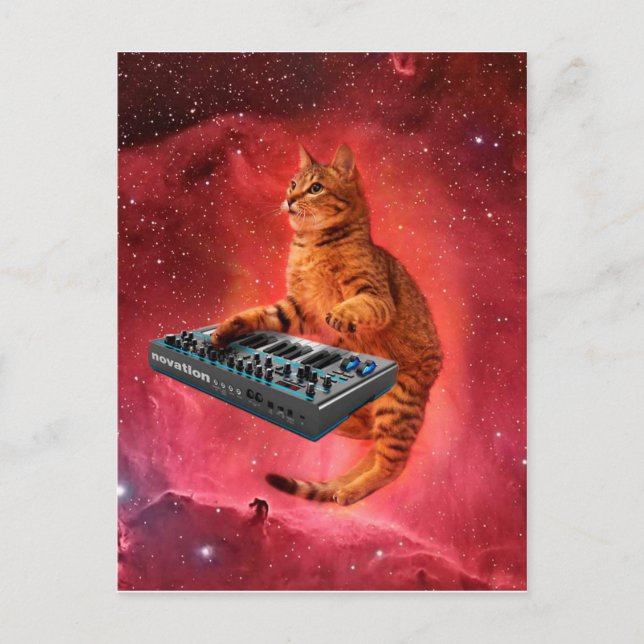 Postal El gato del Sinthesizer en el espacio rojo (Anverso)