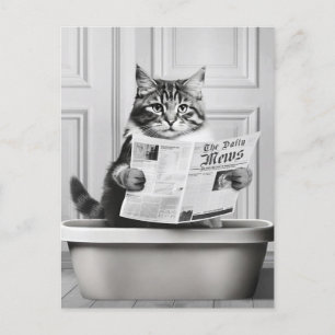 Postal El gato está sentado en el inodoro, gato leyendo n