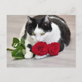 Postal El gato lindo con la rosa roja