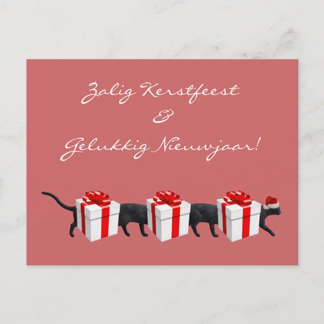 Postal El gato más largo del mundo (Anverso)