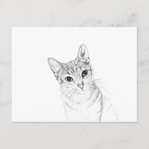 Postal El gato mira el dibujo de un lápiz