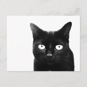 Postal El gato negro
