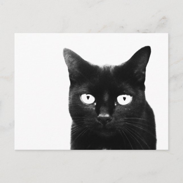 Postal El gato negro (Anverso)