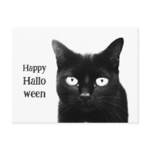 El gato negro de Halloween