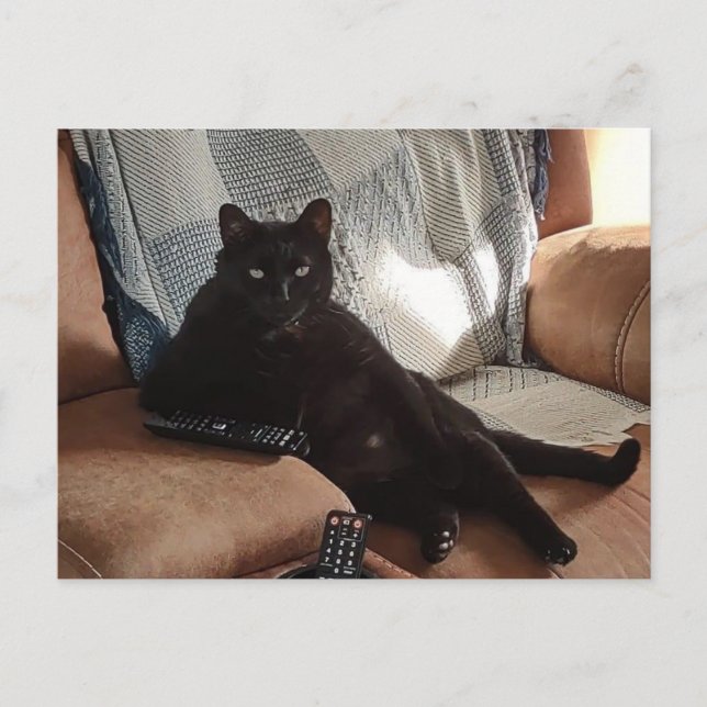 Postal El gato negro parece un jefe (Anverso)