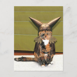 Postal El gato nórdico no es divertido