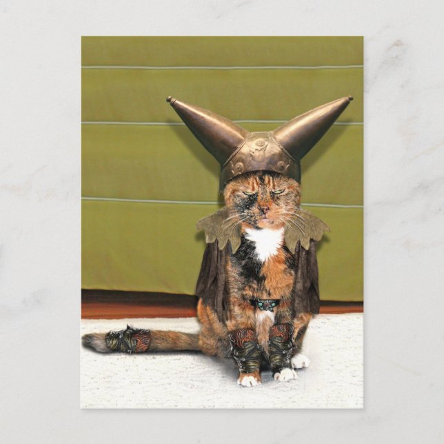 Postal El gato nórdico no es divertido (Anverso)