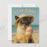 El gato siamés está lamiendo helado, manténgase fr