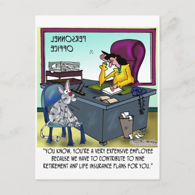 Postal El gato tiene 9 planes de seguro de vida (Anverso)