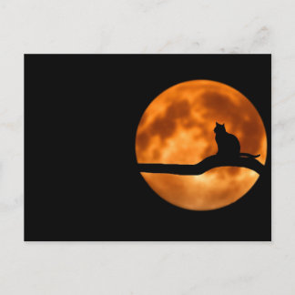 Postal El gato y la luna