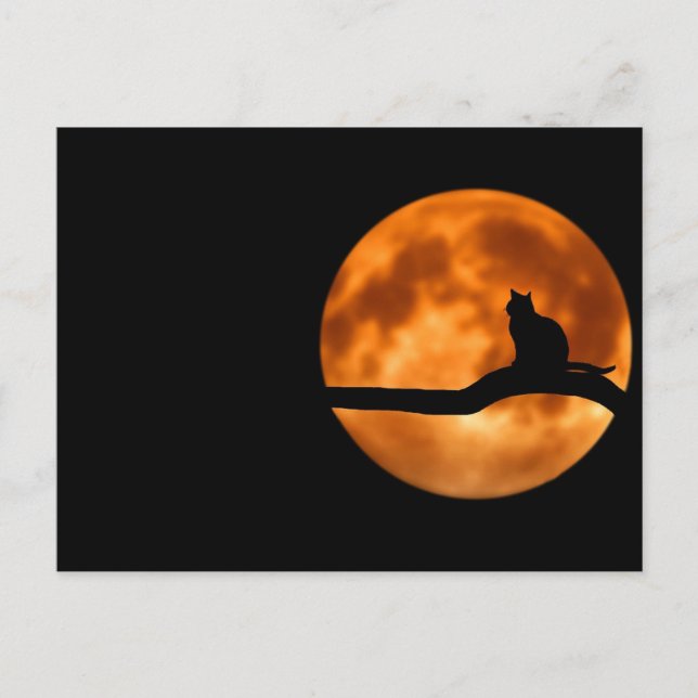 Postal El gato y la luna (Anverso)
