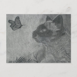 Postal El gato y la mariposa