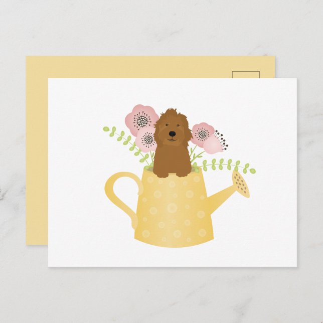 Postal El Goldendoodle En El Agua Puede Amarillo (Anverso / Reverso)