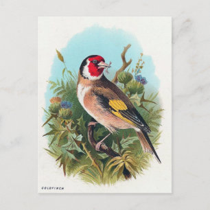 Postal El Goldfinch