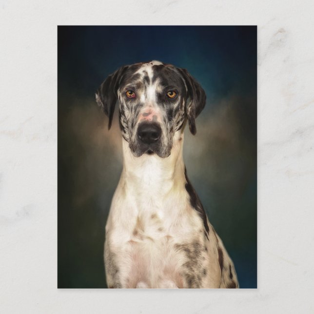 Postal El Gran Danés (Anverso)