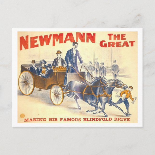 Postal El gran Poster de Newmann (Anverso)