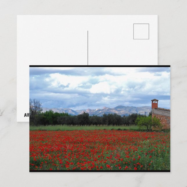 Postal El granero del campo en el campo de amapolas (Anverso / Reverso)