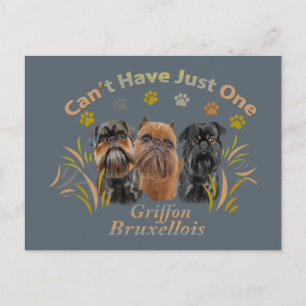 Postal El Griffon Brussels no puede tener uno solo