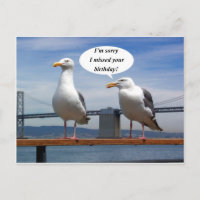 El hablar de las gaviotas