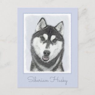 Postal El Husky Siberiano (blanco y negro) pinta arte de 