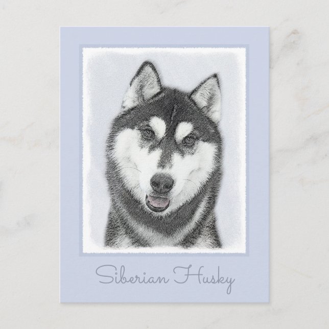 Postal El Husky Siberiano (blanco y negro) pinta arte de  (Anverso)