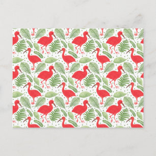 Postal El Ibis escarlata